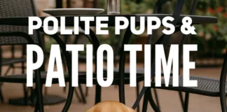 Training Tip: Polite Pups and Patio Dining